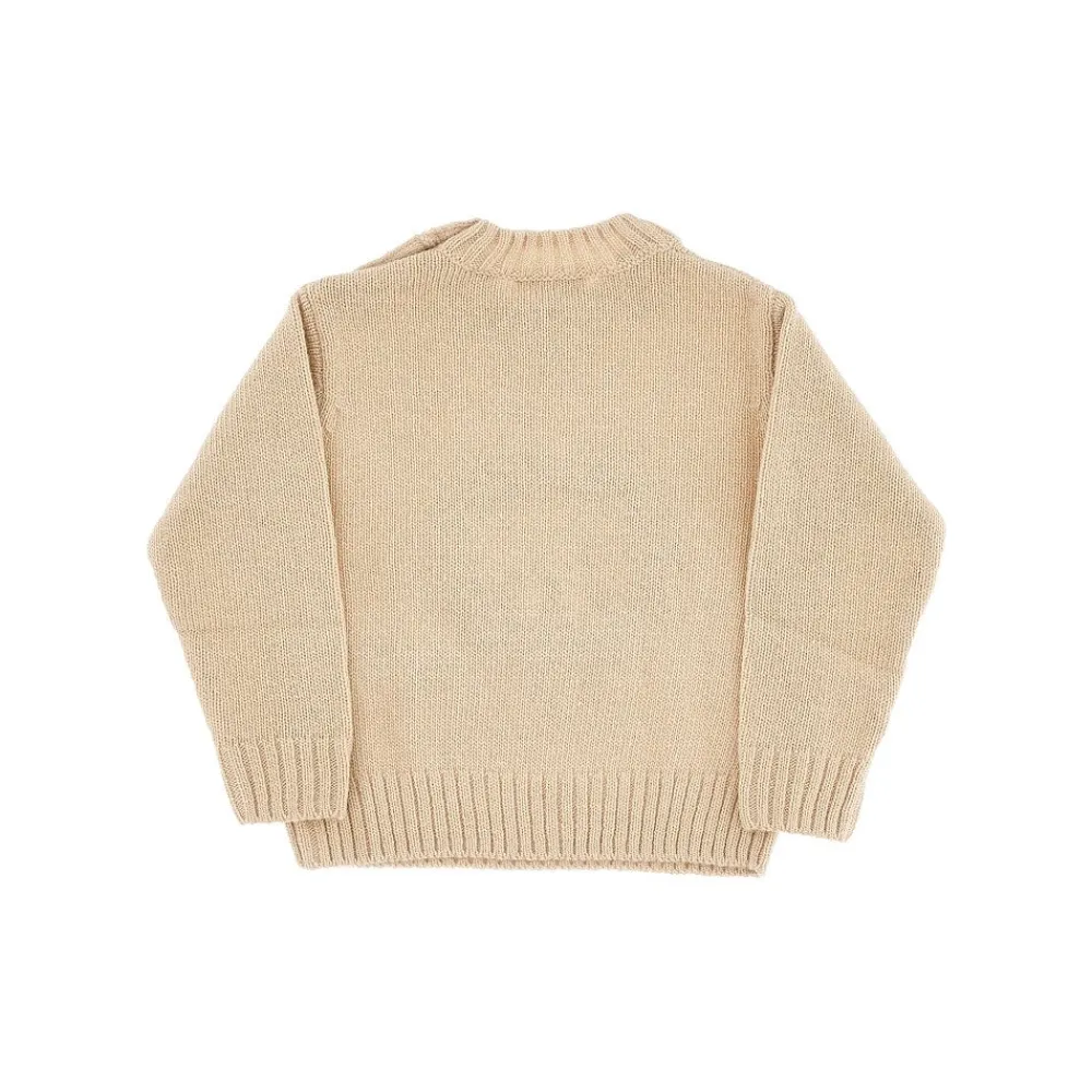 lion_embroidery_wool_swea_1.webp Fashion Lion embroidery wool sweater Kids/BOY Clothing