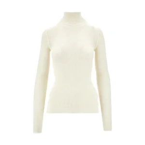 Hot Ribbed wool turtleneck top Knitwear